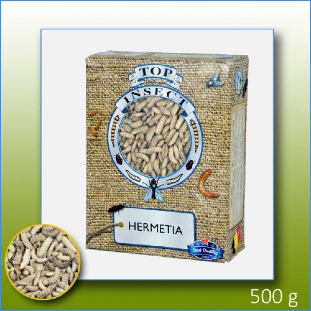 Hermetia gefroren 500g